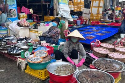 5 Dishes Cooking Class with Market Trip in Da Nang - Chợ Bắc Mỹ An: how local ingredients teach you substitutions
