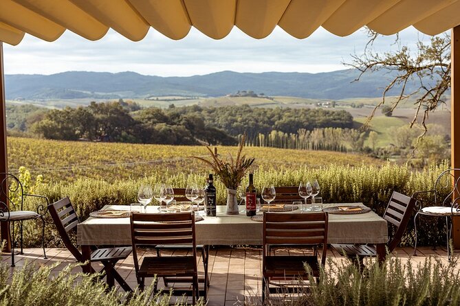 A Brunello Cooking Class with Vineyards View Winery - Price and value: what $313.35 buys you in Brunello country