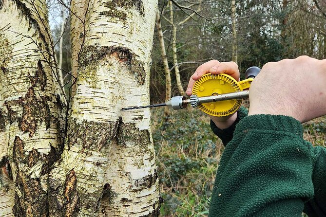 Adult Foraging Walk & Bushcraft Cookery Course for Beginners - Key things I’d circle before you book