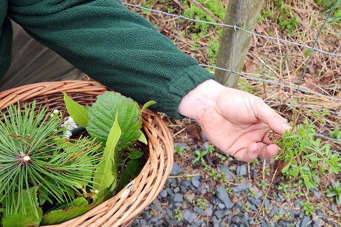 Adult Foraging Walk & Bushcraft Cookery Course for Beginners - Fire and wooden tools: the bushcraft side that makes it memorable