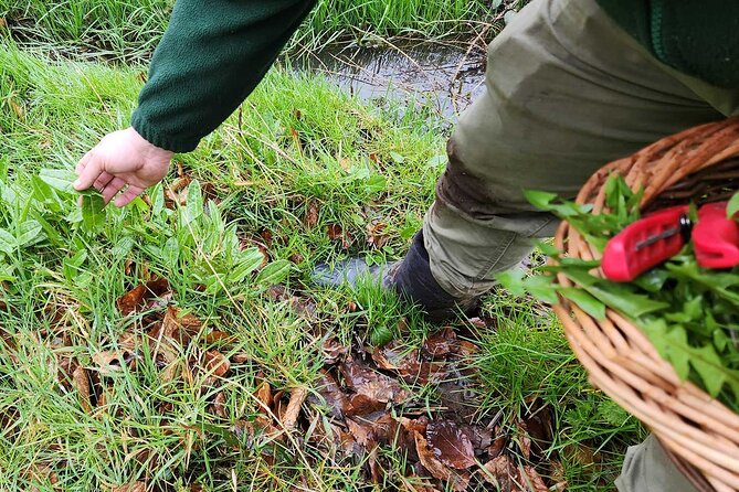 Adult Foraging Walk & Bushcraft Cookery Course for Beginners - What to bring (and what to expect) so the day goes smoothly