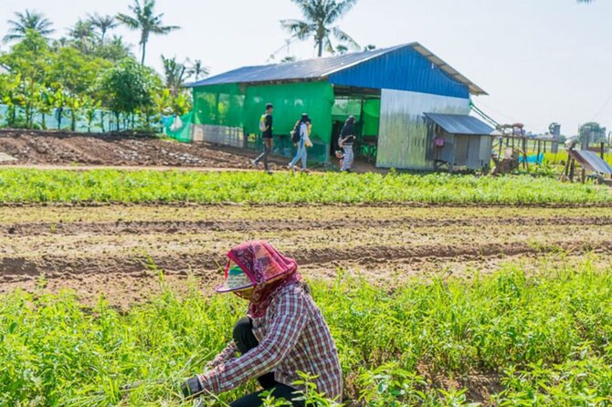 Afternoon Cooking Class & Village Tour in Siem Reap - The village tour: rice paddies, temples, farms, and rice wine