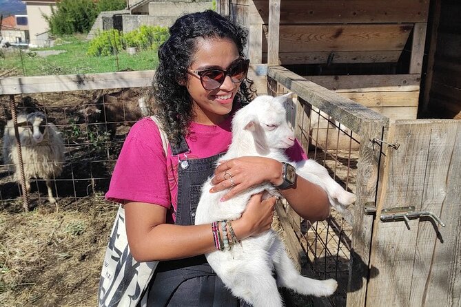 Authentic Garden to Table Cooking Class in Dubrovnik Countryside - Dessert Traditions—and When Goat Milking May Happen