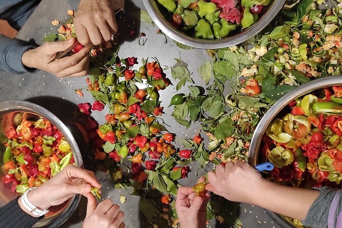 Authentic Garden to Table Cooking Class in Dubrovnik Countryside - Why the Family-Tree Stories Matter (Not Just Nice Extras)