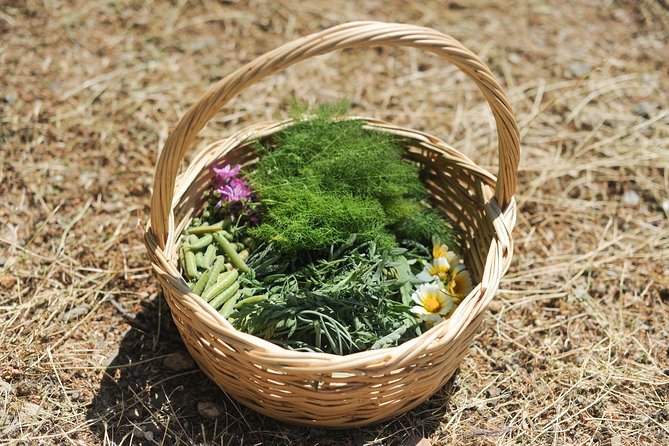 Authentic Greek Cooking & Foraging Experience in Syros with Maria - Where It Starts in Megas Gialos and How the Timing Works