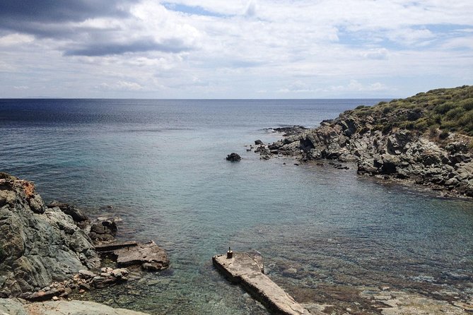 Authentic Greek Cooking & Foraging Experience in Syros with Maria - Value Check: Is $179 Worth It?