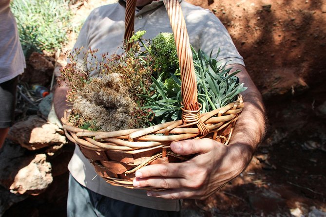 Authentic Greek Cooking & Foraging Experience in Syros with Maria - Practical Tips to Make This Afternoon Go Smoothly