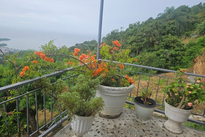 Authentic Trinidadian Cooking Class in Port of Spain - From Welcome Drink to the Stove: What the 2.5 Hours Feel Like