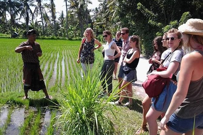 Bali Amazing Cooking Class - Price and logistics: how $34 adds up in value
