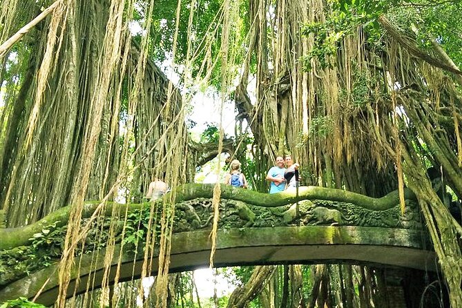 Bali Cooking Class and Ubud Sightseeing Tour - Sacred Monkey Forest Sanctuary: see the famous vibe, handle it smart