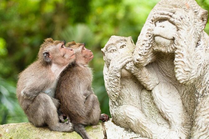 Balinase Cooking Class and Private Ubud Day Tour - Key Highlights You’ll Actually Care About