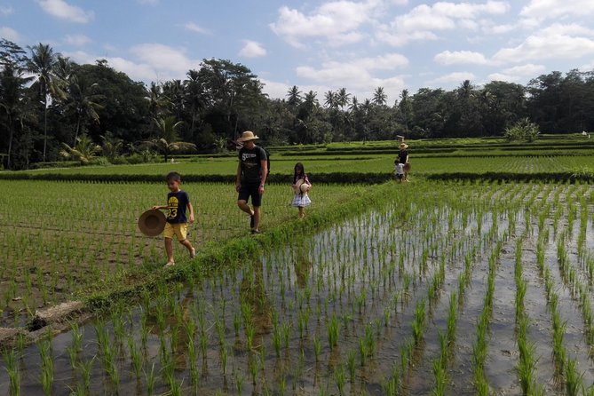 Balinese Cooking Class at Organic Farm - Mai Organic Farm in Pejeng: the part that makes this class feel real