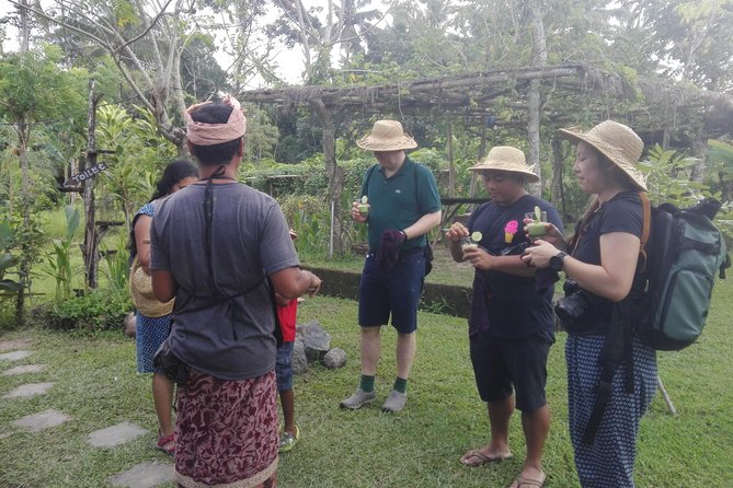 Balinese Cooking Class at Organic Farm - Picking herbs for sate lilit and corn fritters, then cooking on fire