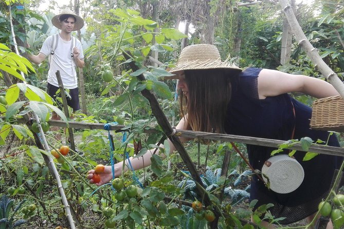 Balinese Cooking Class at Organic Farm - Price, timing, and Ubud pickup without the hassle