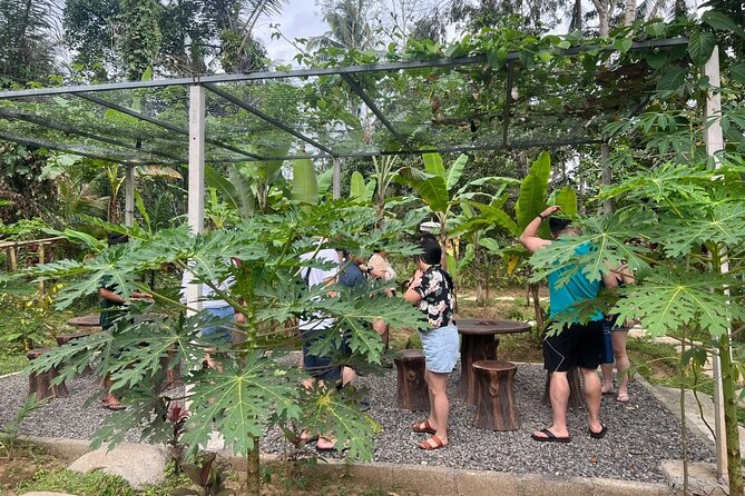 Balinese Cooking Class with Traditional Market Tour - Price and value: why $58.16 can feel fair in Ubud