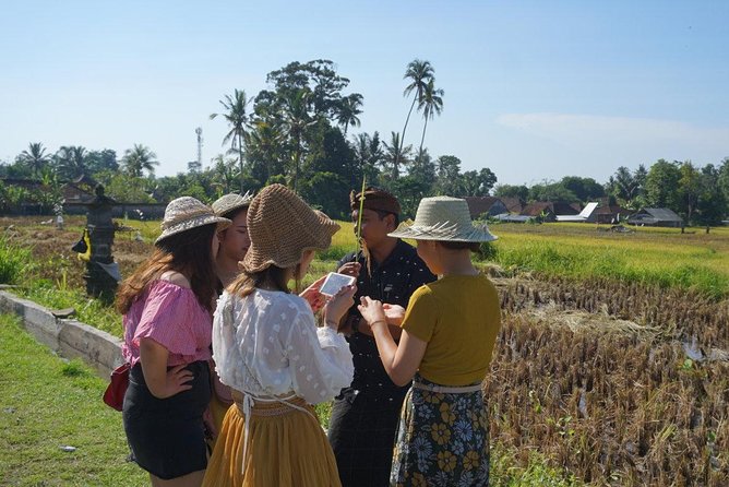 Balinese Traditional Food Cooking Class with Ubud Monkey Forest and SPA - From Rice Growing to a Real Cooking Class