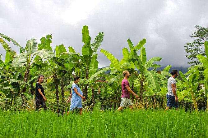 Balinese Vegan Cooking Class with Fresh Harvesting & Garden Tour - Back to the kitchen: ancient utensils and chef-led technique