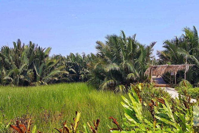Buffalo Riding, Basket Boat Tour And Cooking Class - Who this tour suits best in Hoi An
