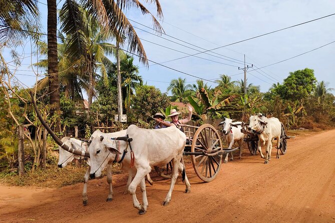 Cambodian Cooking Class and Oxcart Ride with Local Village Tour - Timing and Group Size: What a 4–5 Hour Day Actually Means