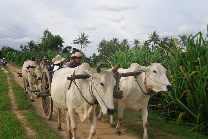 Cambodian Cooking Class and Oxcart Ride with Local Village Tour - The Cooking Class at a Khmer Family Home Kitchen