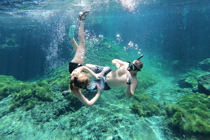 Cenotes by Bike and Mayan Cooking Class Half-Day Guided Tour - Why This Cenote + Mayan Cooking Combo Works So Well