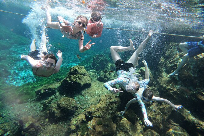 Cenotes by Bike and Mayan Cooking Class Half-Day Guided Tour - Lunch at the End: Cochinita Pibil, Tacos, and Go-Back-For-Seconds Energy