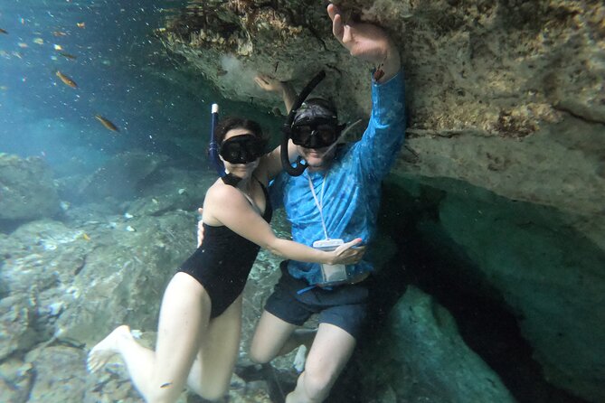Cenotes by Bike and Mayan Cooking Class Half-Day Guided Tour - Price and Value: What $59.78 Really Buys You