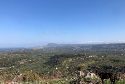 Chania Area: Cooking Class at a Farm in Stylos Village (organic) - The Diktamos Gorge stop: stretching your legs before the kitchen