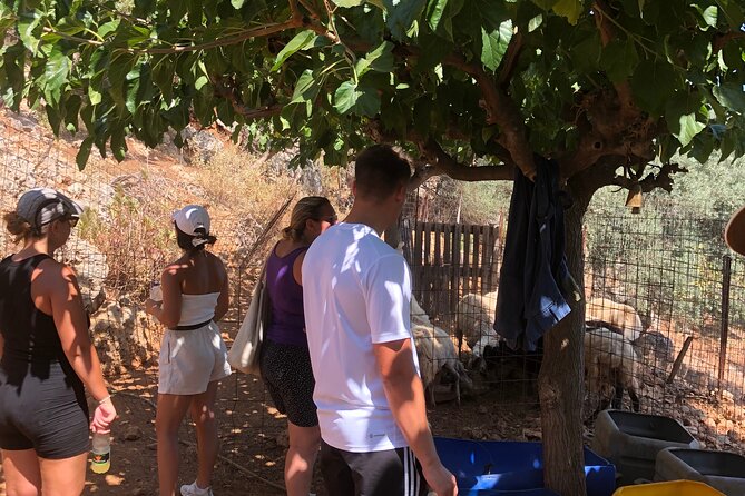 Chania Area: Cooking Class at a Farm in Stylos Village (organic) - Goat milking and cheese making: the part you’ll talk about later