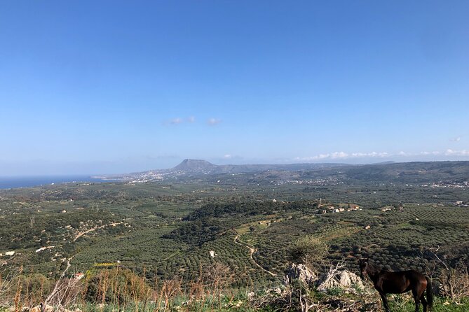 Chania Area: Cooking Class at a Farm in Stylos Village (organic) - The Diktamos Gorge stop: stretching your legs before the kitchen