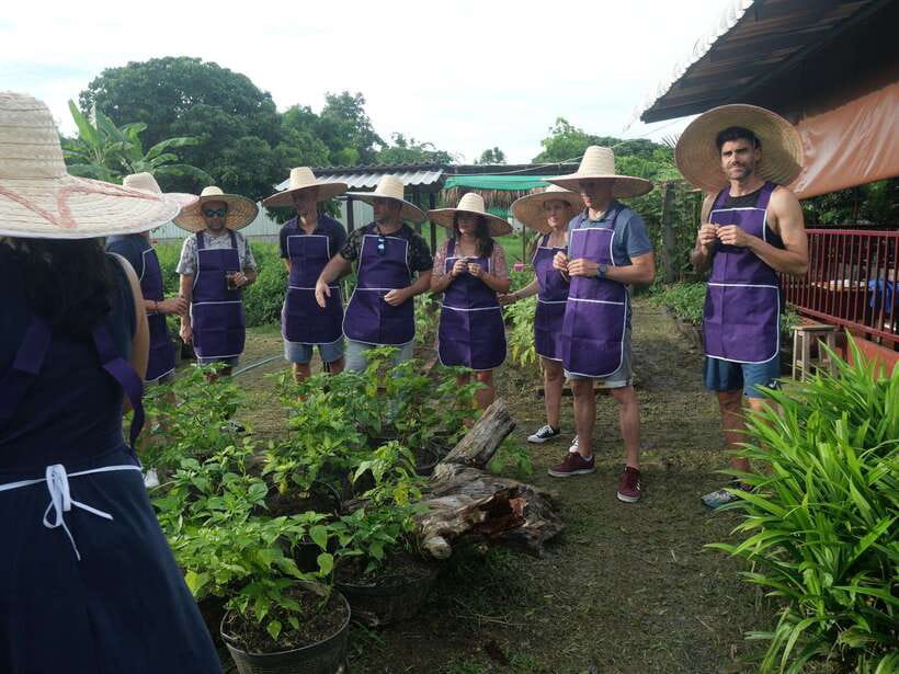 Chiang Mai: Half Day Cooking Class at Organic Farm - What you cook in 5 hours: curry paste, curries, stir-fries, soup, rolls