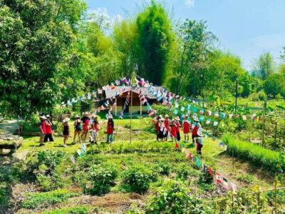 Chiang Mai: Half Day Cooking Class at Organic Farm - Organic farm option vs city yard: choosing your setting