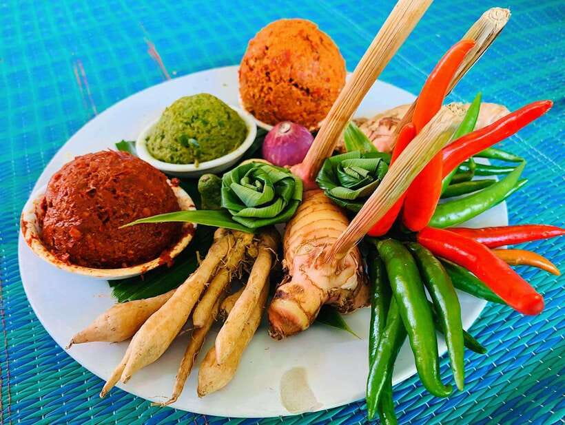 Chiang Mai: Half Day Cooking Class at Organic Farm - The guide experience: English instruction and friendly team energy