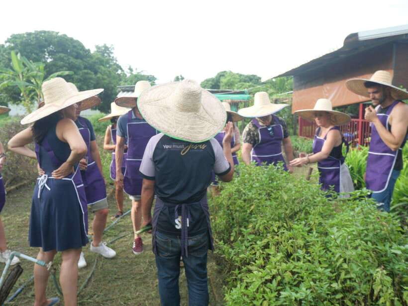 Chiang Mai: Half Day Cooking Class at Organic Farm - Timing and logistics: how to plan your half day