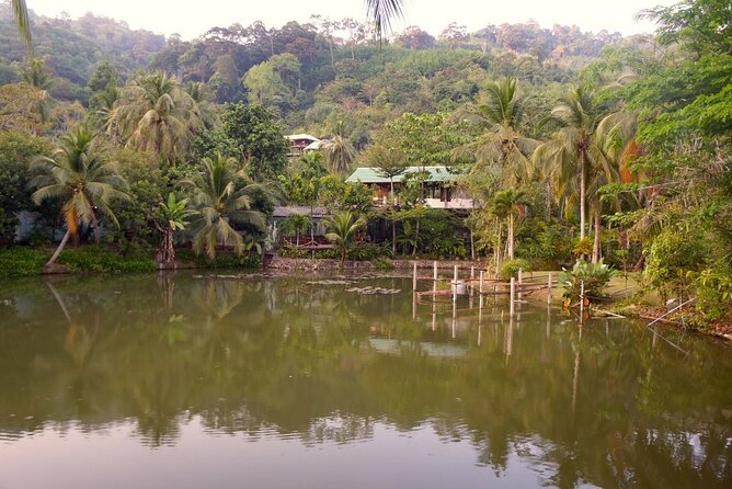 Choose Your Own Dishes: Half-Day Thai Cooking Class in Phuket - Hotel pickup and the market lesson near Patong Beach