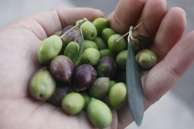 Cook with Locals | Cretan cooking Class at Archanes Village - Cretan cooking in Ano Archanes: where the experience feels personal