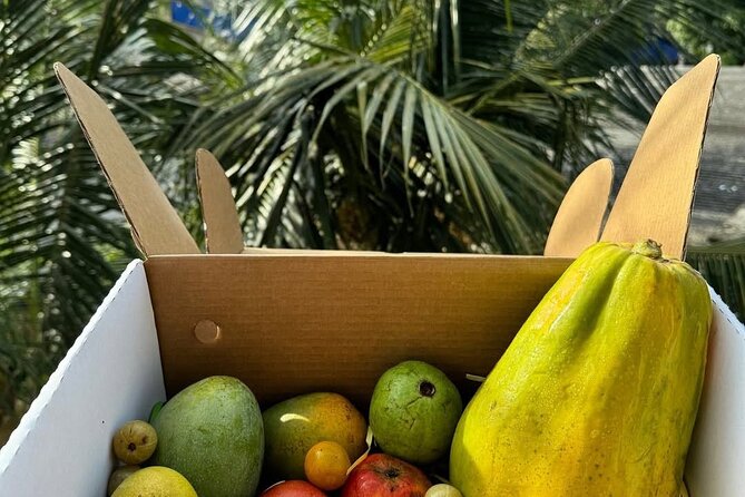 Cooking Class and Market Visit in Negombo - Entering Negombo through the market first