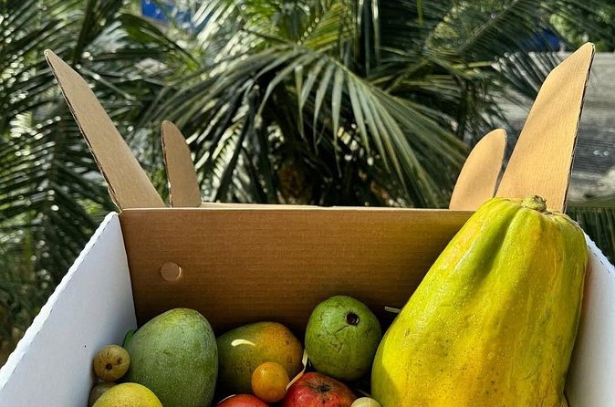 Cooking Class and Market Visit in Negombo - Why the guide matters: Shashi and the value of real instruction