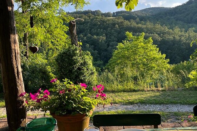 Cooking Class for Pasta Lovers in Florence Country House - A Market-to-Country-House Day That Feels Like Real Life