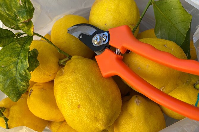 Cooking Class: hand made pasta from scratch in Sorrento - FAQ