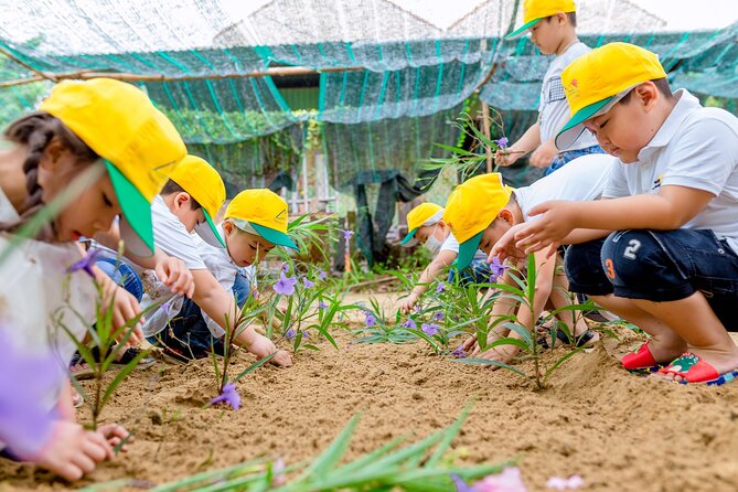 Cooking Class Hoi An - Organic Garden - Farming Tour-Handicrafts - Value check: why the $33.63 price can make sense