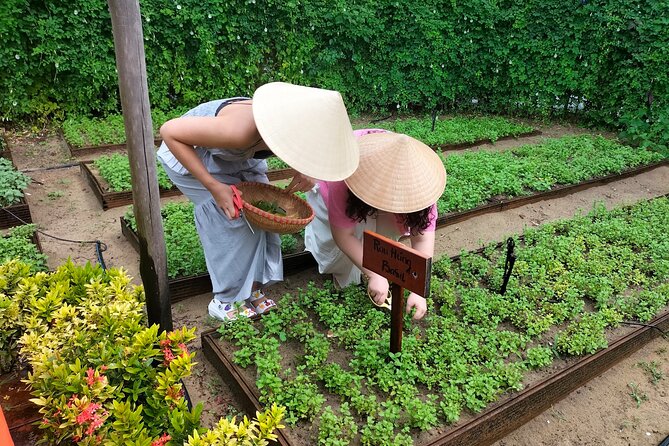 Cooking Class Hoi An - Organic Garden - Farming Tour-Handicrafts - Logistics that affect your experience: meeting point, timing, and weather