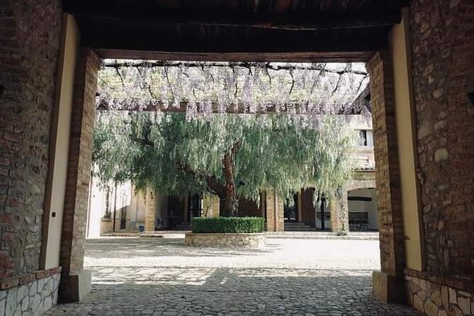 Cooking Class in a historic sicilian farmhouse - Final call: should you book Fontana Murata?