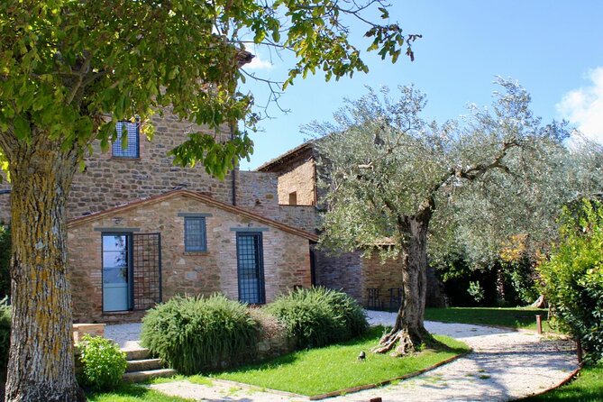 Cooking Class in a Historical Oil Mill near Trasimeno Lake - The Olive Oil Story You Actually Learn