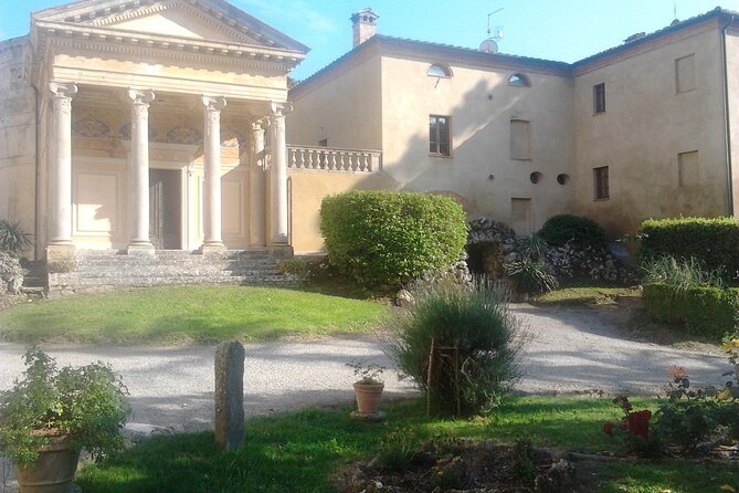 Cooking Class in a historical Palace in Siena Provence - Sauces, olive oil, and what you’ll really learn for home cooking
