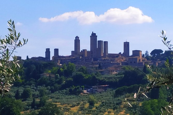 Cooking Class in a Real Tuscan Farmhouse - Olive Oil and Wine Tastings That Set the Mood