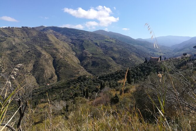 Cooking Class in a Sicilian countryhouse - How the countryside meal fits into a 4-hour experience