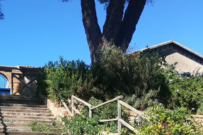 Cooking Class in a Sicilian countryhouse - The scenic route: Filicudi, Alicudi, Castelbuono, and more