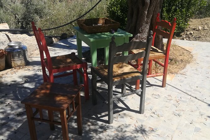 Cooking Class in a Sicilian countryhouse - Price and value: is $224.76 per person worth it?