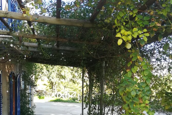 Cooking Class in a Sicilian countryhouse - Practical notes that affect your day